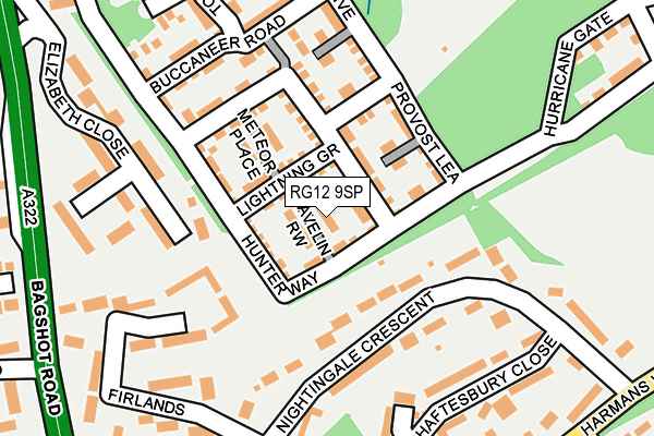 RG12 9SP map - OS OpenMap – Local (Ordnance Survey)