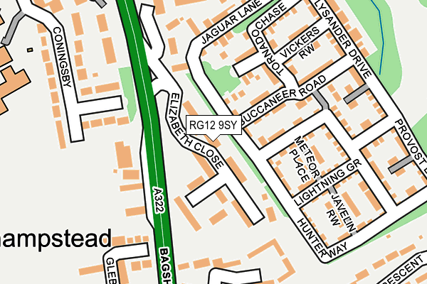 RG12 9SY map - OS OpenMap – Local (Ordnance Survey)