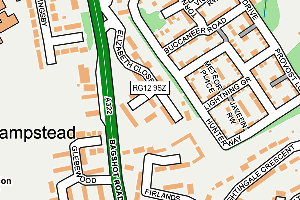 RG12 9SZ map - OS OpenMap – Local (Ordnance Survey)