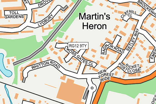 RG12 9TY map - OS OpenMap – Local (Ordnance Survey)