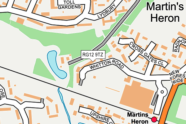 RG12 9TZ map - OS OpenMap – Local (Ordnance Survey)
