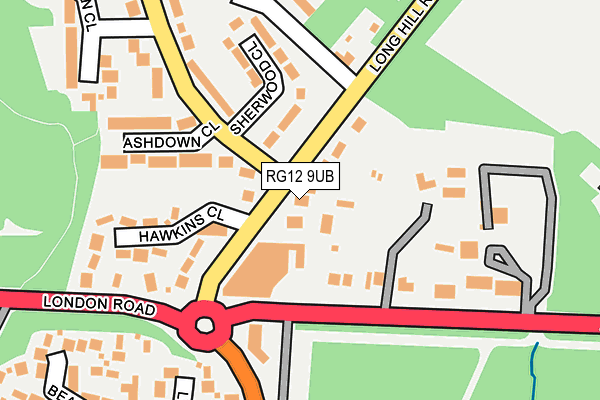 RG12 9UB map - OS OpenMap – Local (Ordnance Survey)