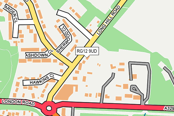 RG12 9UD map - OS OpenMap – Local (Ordnance Survey)