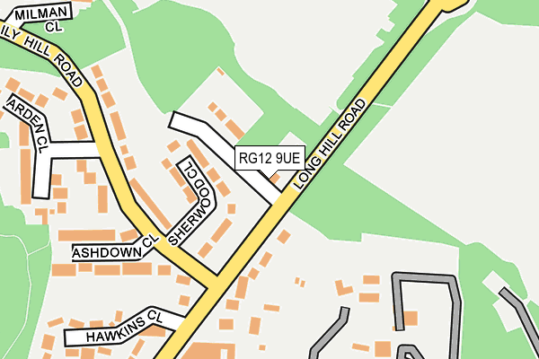 RG12 9UE map - OS OpenMap – Local (Ordnance Survey)