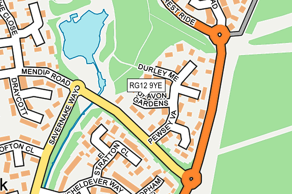 RG12 9YE map - OS OpenMap – Local (Ordnance Survey)