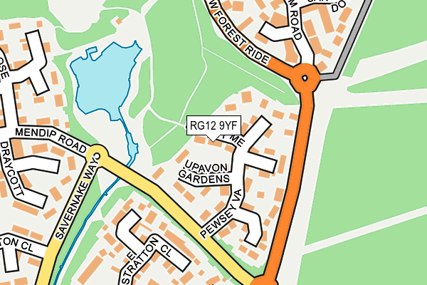 RG12 9YF map - OS OpenMap – Local (Ordnance Survey)