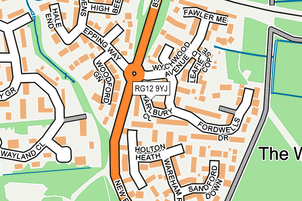 RG12 9YJ map - OS OpenMap – Local (Ordnance Survey)