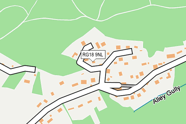 RG18 9NL map - OS OpenMap – Local (Ordnance Survey)