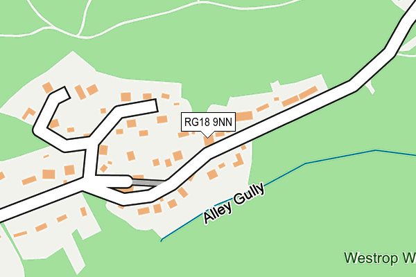 RG18 9NN map - OS OpenMap – Local (Ordnance Survey)