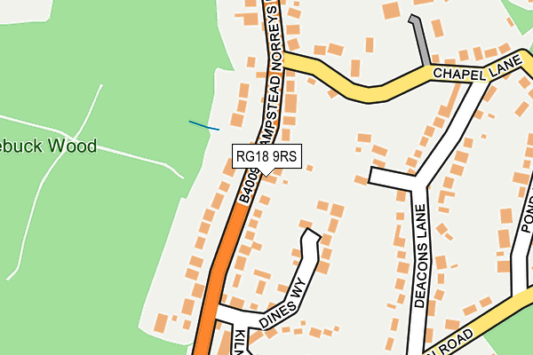 RG18 9RS map - OS OpenMap – Local (Ordnance Survey)