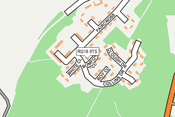 RG18 9TS map - OS OpenMap – Local (Ordnance Survey)
