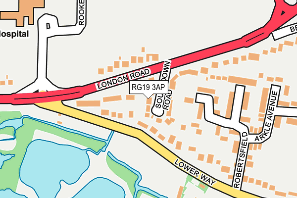 RG19 3AP map - OS OpenMap – Local (Ordnance Survey)