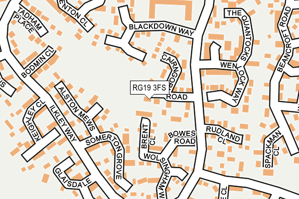 RG19 3FS map - OS OpenMap – Local (Ordnance Survey)