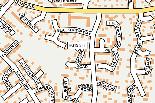 RG19 3FT map - OS OpenMap – Local (Ordnance Survey)