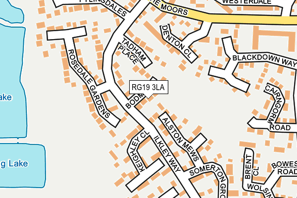 RG19 3LA map - OS OpenMap – Local (Ordnance Survey)