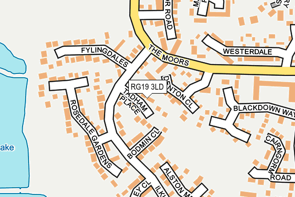 RG19 3LD map - OS OpenMap – Local (Ordnance Survey)