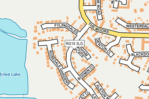 RG19 3LG map - OS OpenMap – Local (Ordnance Survey)