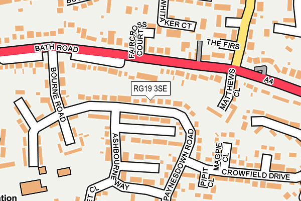RG19 3SE map - OS OpenMap – Local (Ordnance Survey)
