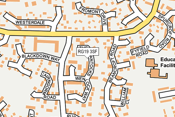 RG19 3SF map - OS OpenMap – Local (Ordnance Survey)