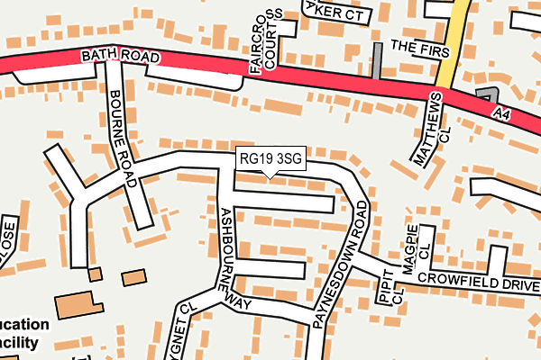 RG19 3SG map - OS OpenMap – Local (Ordnance Survey)