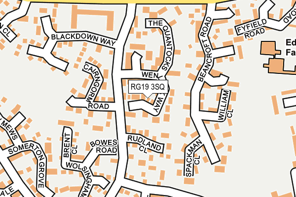 RG19 3SQ map - OS OpenMap – Local (Ordnance Survey)