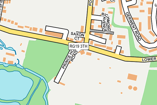 RG19 3TH map - OS OpenMap – Local (Ordnance Survey)