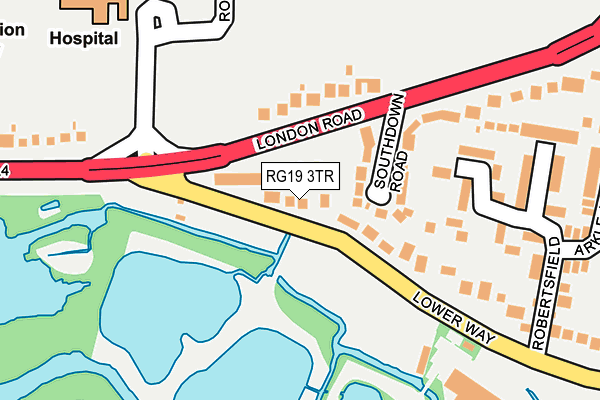 RG19 3TR map - OS OpenMap – Local (Ordnance Survey)
