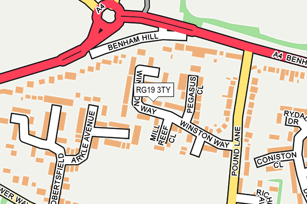 RG19 3TY map - OS OpenMap – Local (Ordnance Survey)
