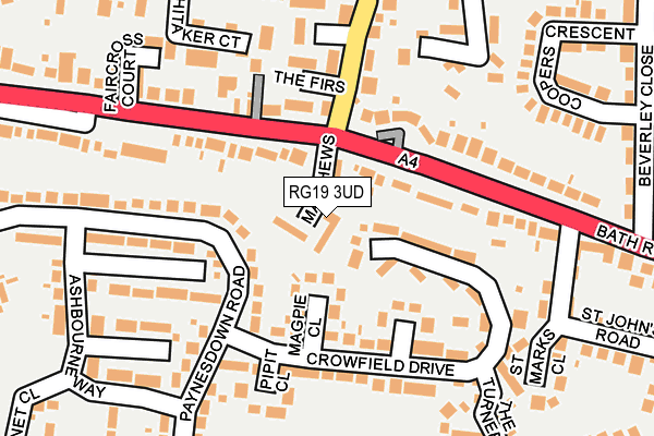 RG19 3UD map - OS OpenMap – Local (Ordnance Survey)