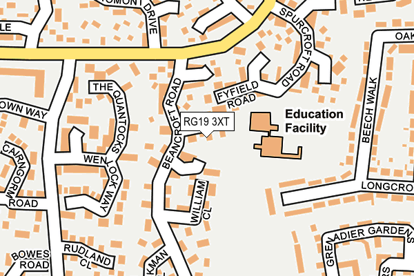 RG19 3XT map - OS OpenMap – Local (Ordnance Survey)