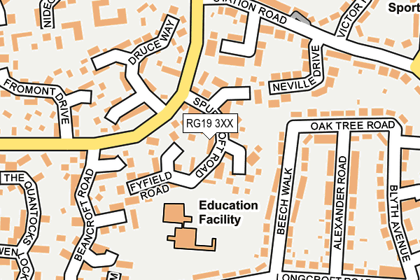 RG19 3XX map - OS OpenMap – Local (Ordnance Survey)