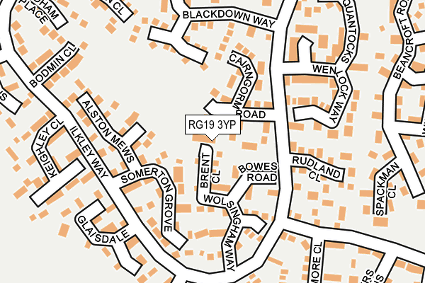 RG19 3YP map - OS OpenMap – Local (Ordnance Survey)