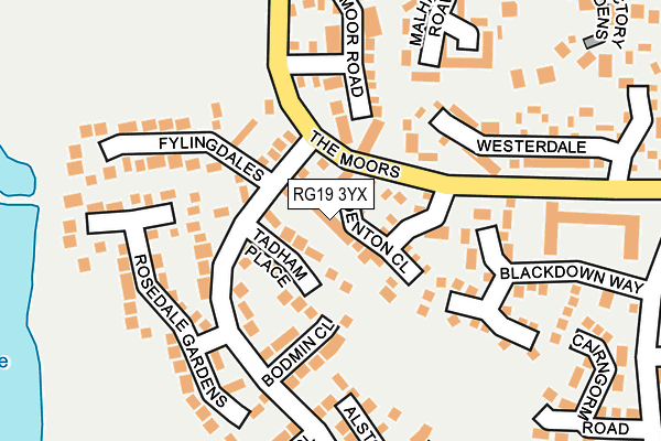 RG19 3YX map - OS OpenMap – Local (Ordnance Survey)