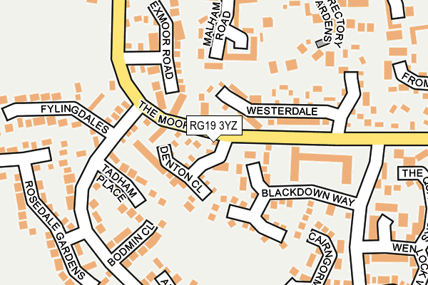 RG19 3YZ map - OS OpenMap – Local (Ordnance Survey)