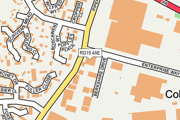 RG19 4AE map - OS OpenMap – Local (Ordnance Survey)