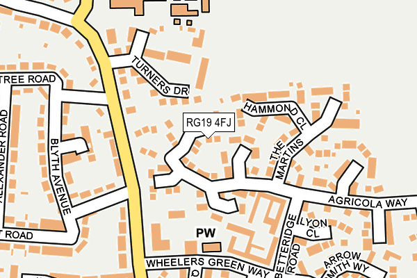 RG19 4FJ map - OS OpenMap – Local (Ordnance Survey)