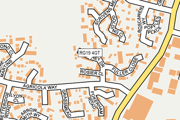 RG19 4GT map - OS OpenMap – Local (Ordnance Survey)