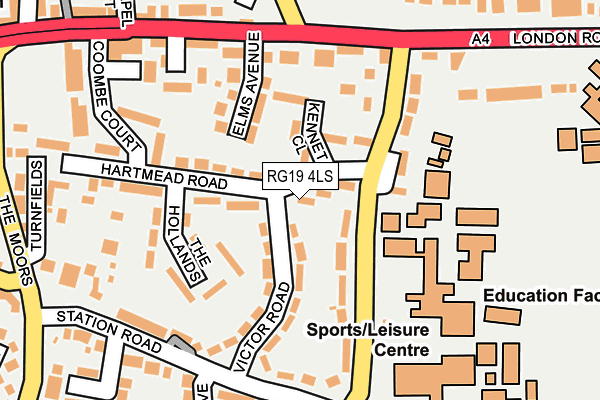 RG19 4LS map - OS OpenMap – Local (Ordnance Survey)