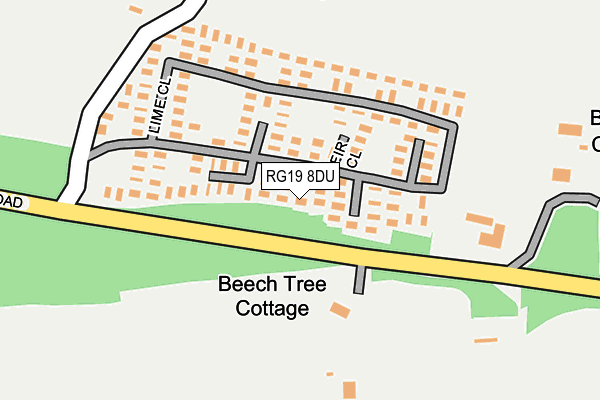 RG19 8DU map - OS OpenMap – Local (Ordnance Survey)