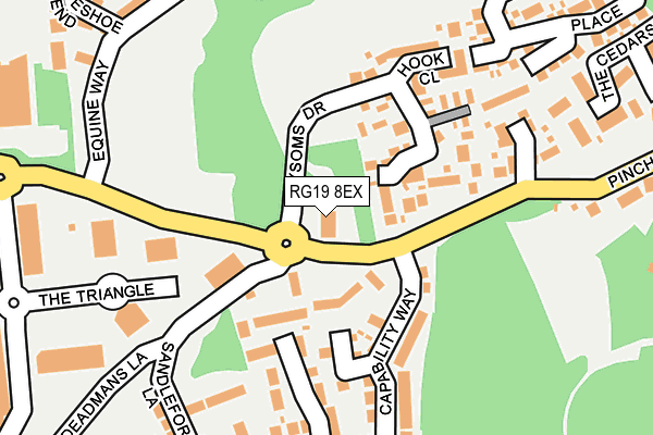 RG19 8EX map - OS OpenMap – Local (Ordnance Survey)