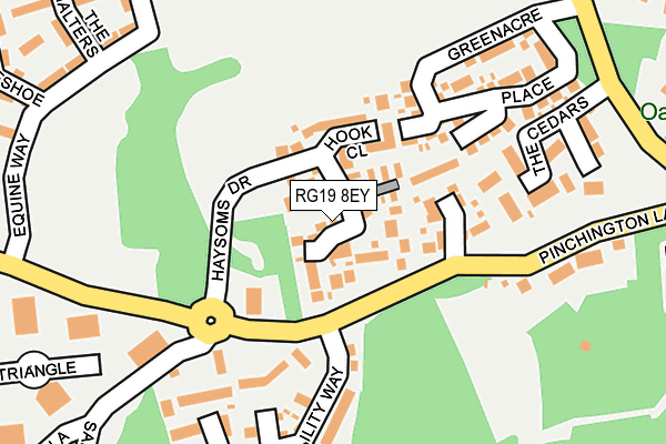 RG19 8EY map - OS OpenMap – Local (Ordnance Survey)