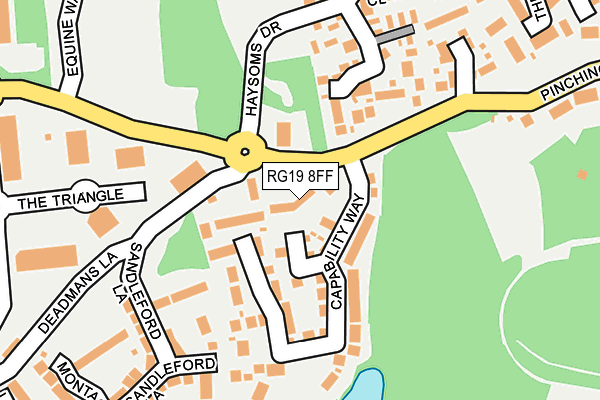 RG19 8FF map - OS OpenMap – Local (Ordnance Survey)