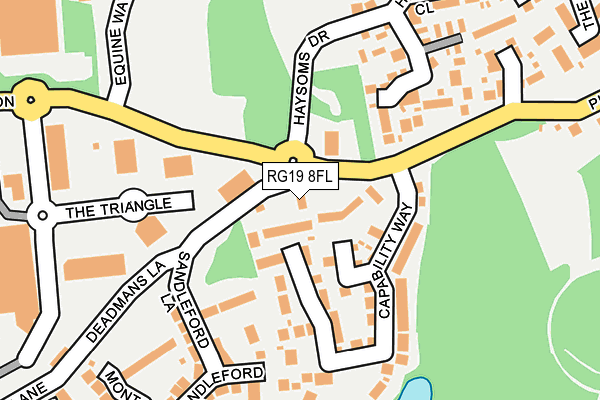RG19 8FL map - OS OpenMap – Local (Ordnance Survey)