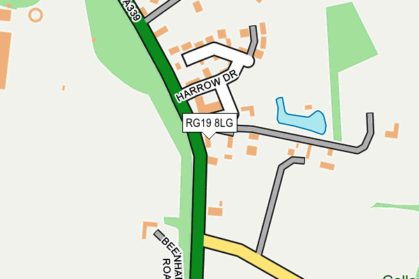 RG19 8LG map - OS OpenMap – Local (Ordnance Survey)
