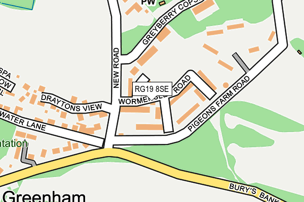 RG19 8SE map - OS OpenMap – Local (Ordnance Survey)