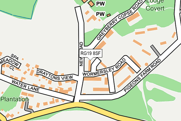 RG19 8SF map - OS OpenMap – Local (Ordnance Survey)