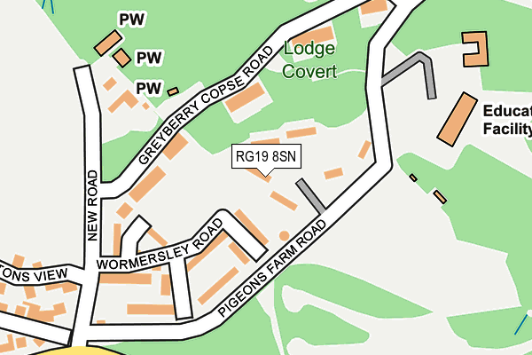 RG19 8SN map - OS OpenMap – Local (Ordnance Survey)