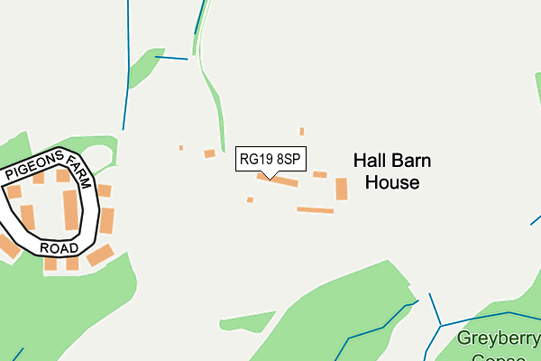 RG19 8SP map - OS OpenMap – Local (Ordnance Survey)