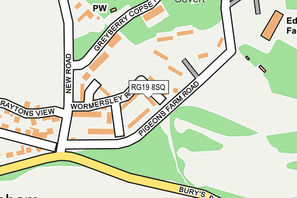 RG19 8SQ map - OS OpenMap – Local (Ordnance Survey)