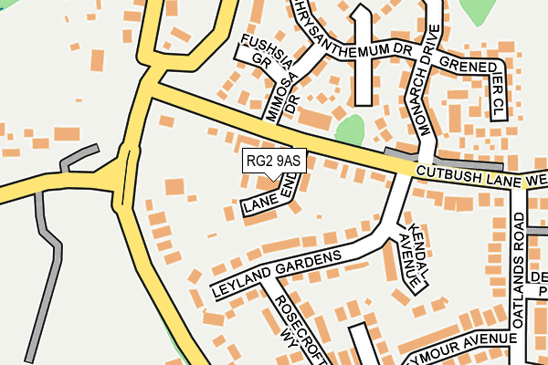 RG2 9AS map - OS OpenMap – Local (Ordnance Survey)